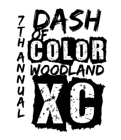 dash of color promo poster