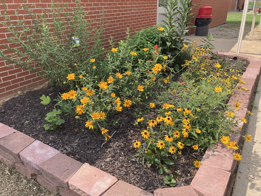 garden with freshly planted flowers